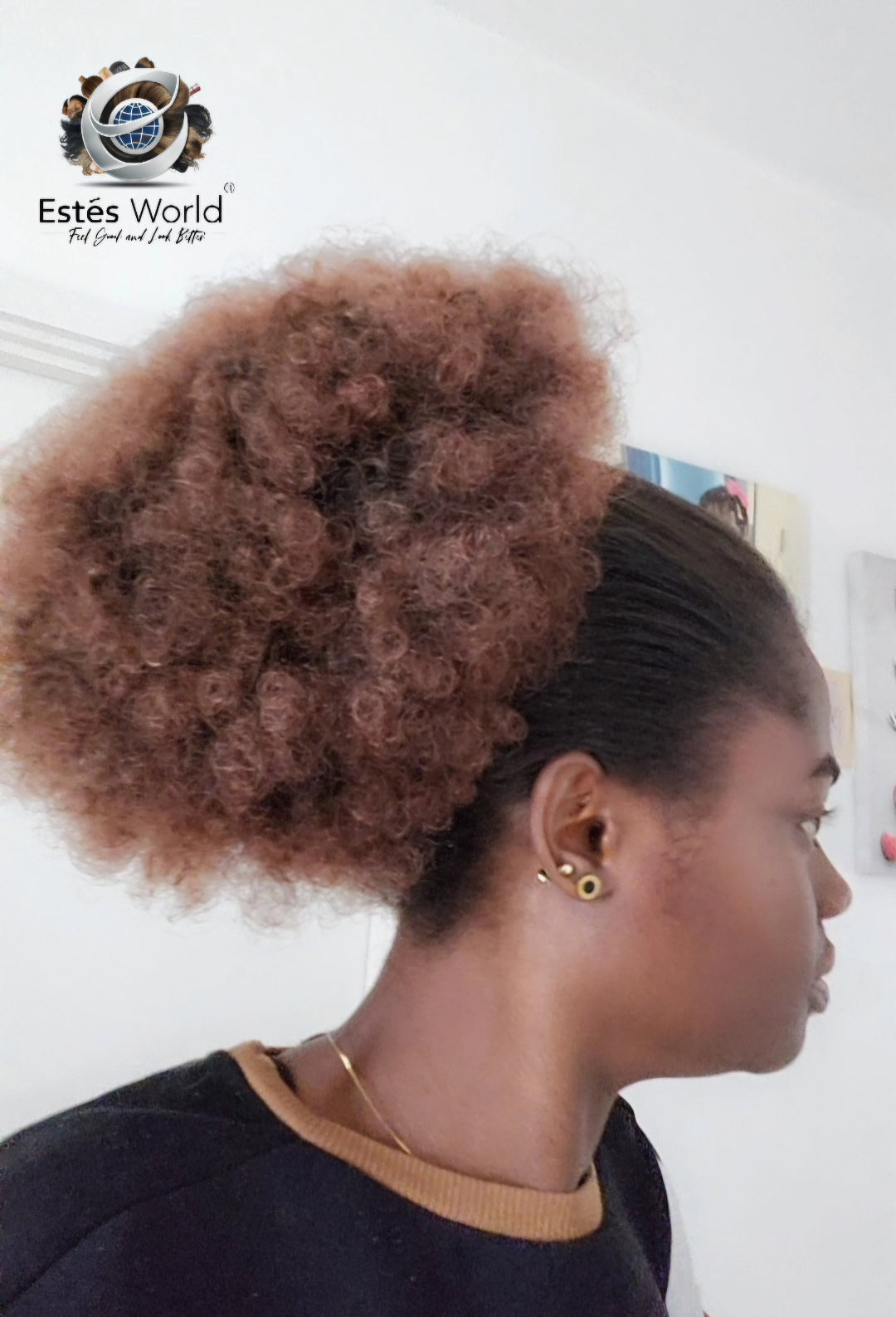 Afro Puff Drawstring Ponytail