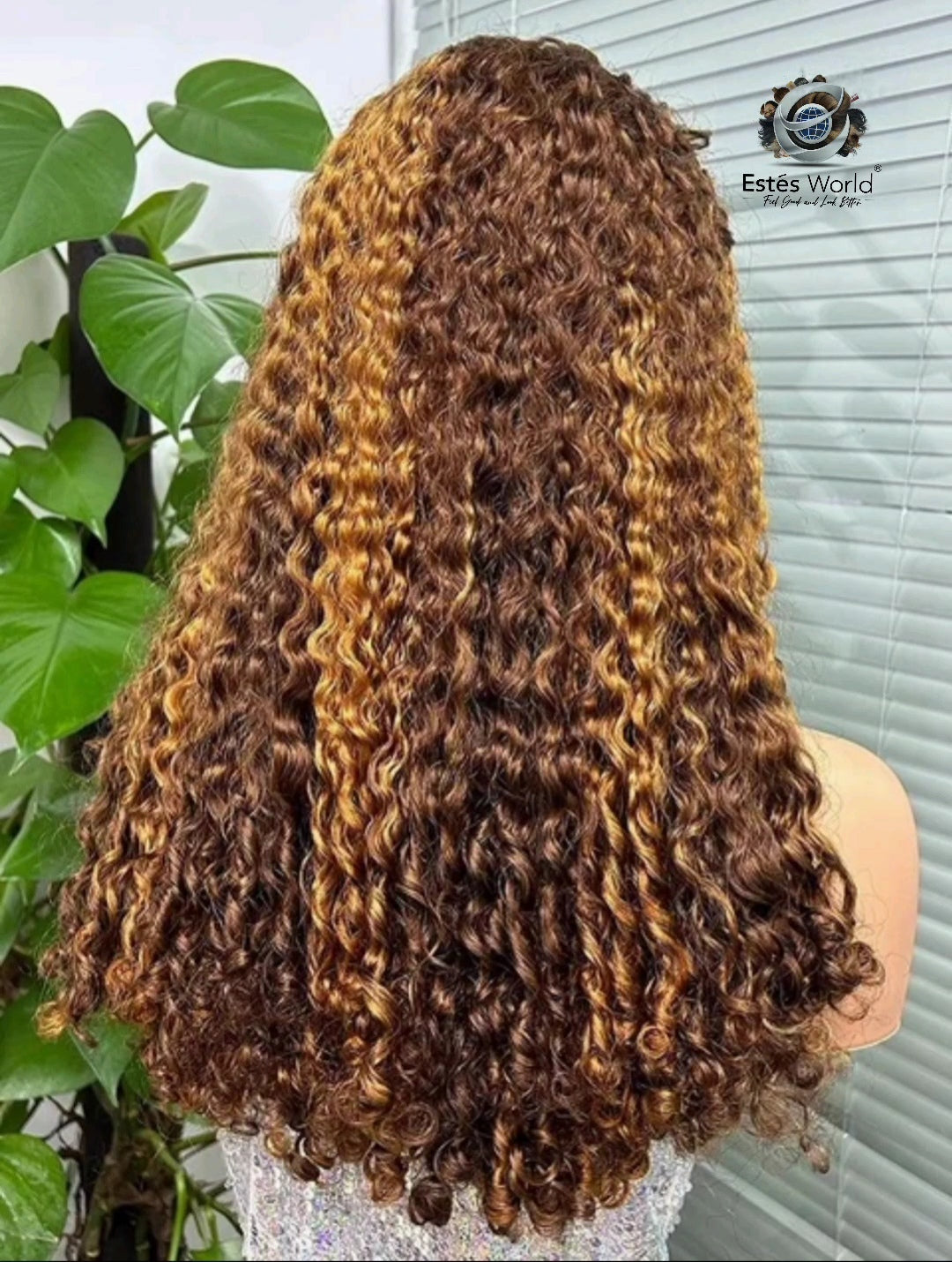 Curly Highlight 13x4 Lace Front Human Hair 4/27 Water Wave 250% Density